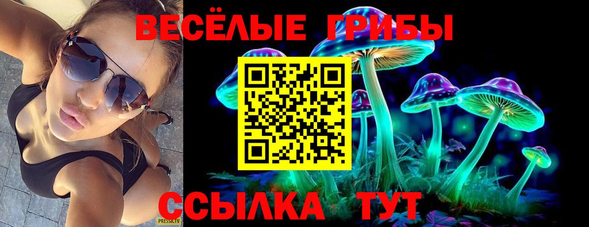 Псилоцибиновые грибы GOLDEN TEACHER  Вход с VPN  купить  цена  Кизилюрт 